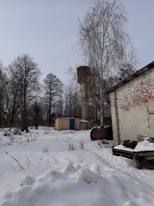 Продаж заводу продовольчих товарів м. Березне