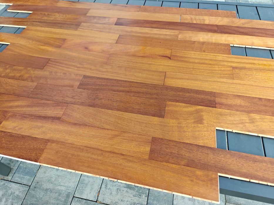 Parkiet Iroko egzotyk Okazja