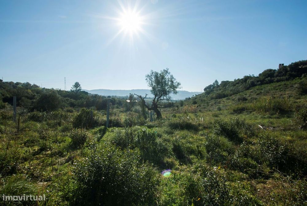 Terrenos para venda na Bemposta em Bucelas