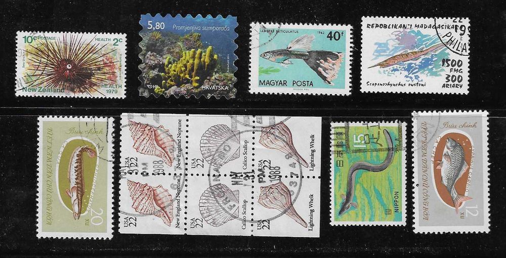 Lote de Selos Fauna Marinha