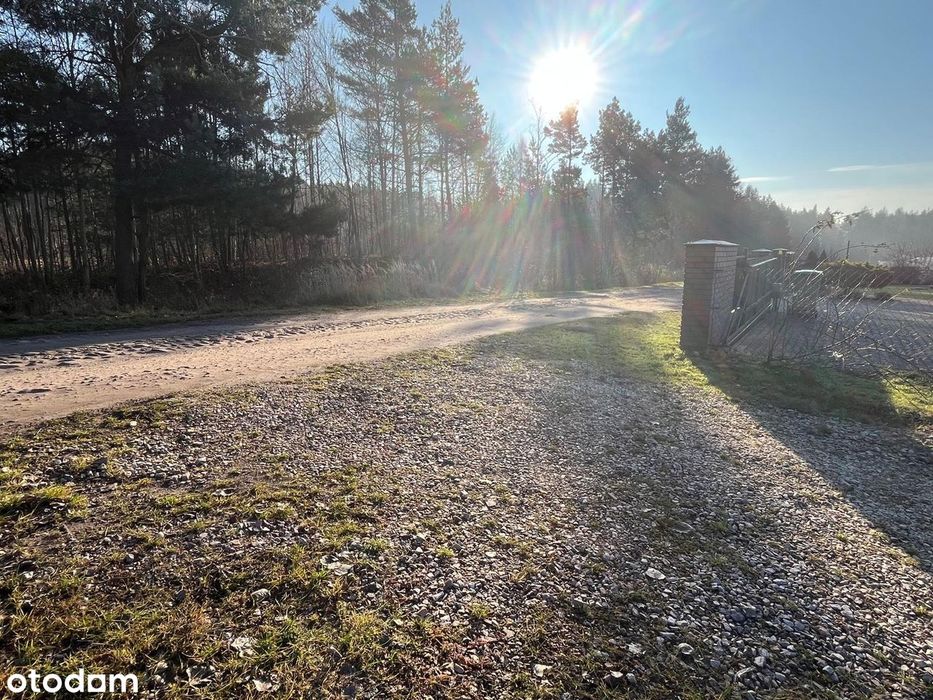 Działka budowlana 1557 m², spokojna i urokliwa okolica, tuż przy lesie - Widok 4