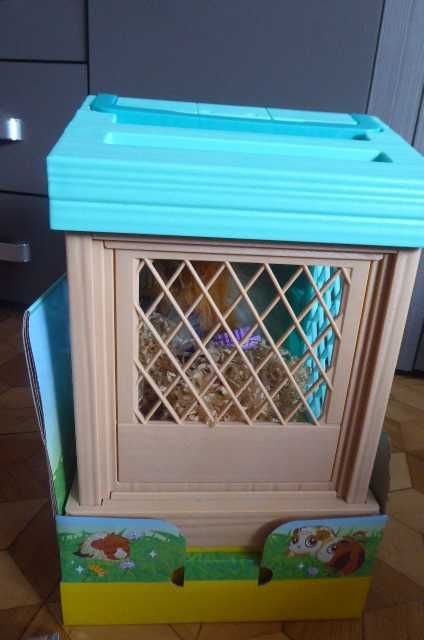 świnka morska mama surprise. little live pets
