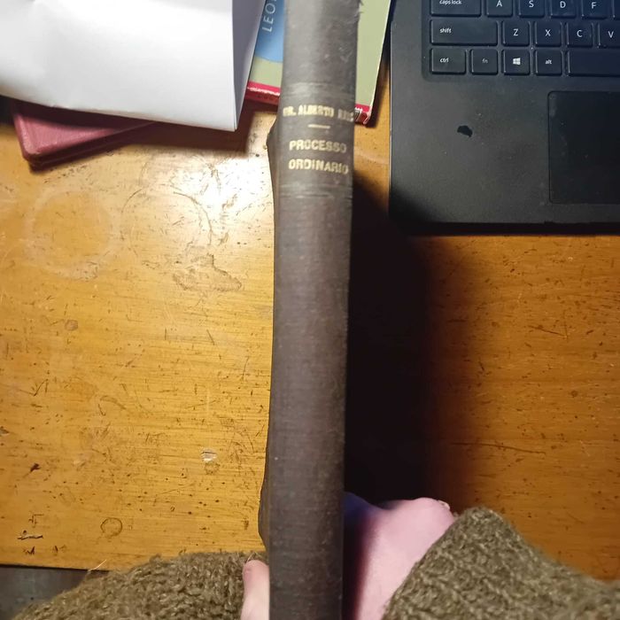 Dr. Alberto dos Reis, Processo Ordinário e Civil (1906)