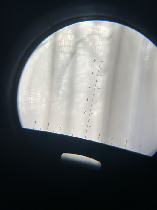 Levenhuk Nelson 7x50 бінокль