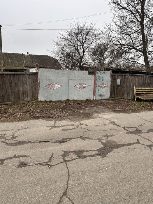 Продаж будинку з ділянкою 25 соток  с. Небелиця, Київська область