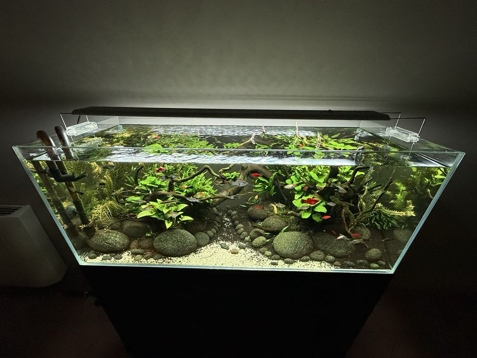 Aquario completo com tratamento de agua e iluminacao Led