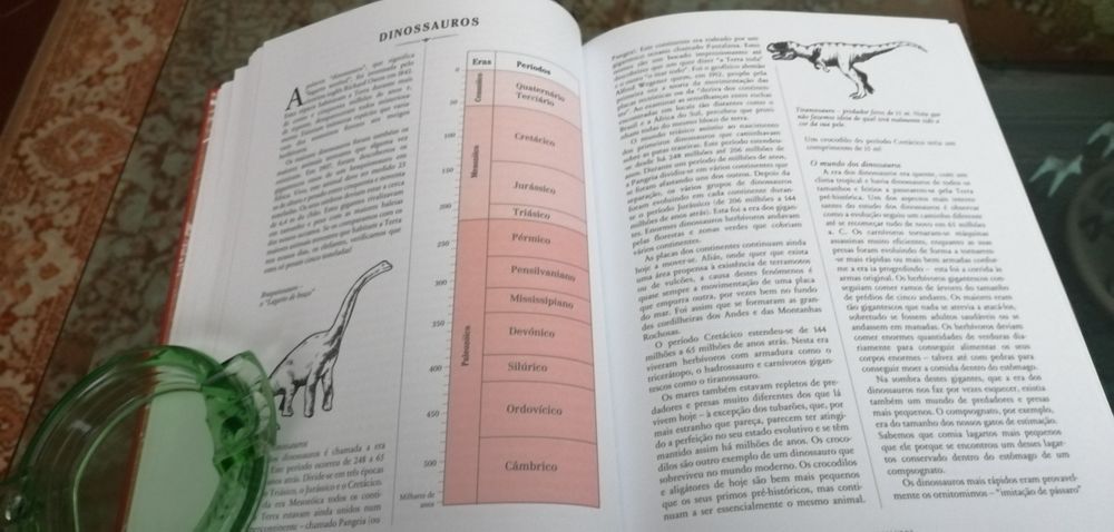 Livro Perigoso para Rapazes