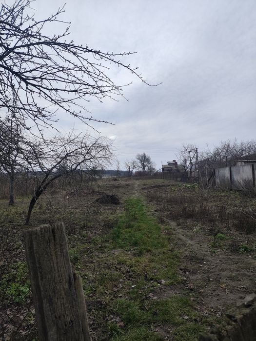 Хата, літня кухня, сараї, город