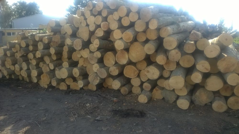 Drewno stosowe buk, brzoza, grab, wałki kominkowe opałowe metry