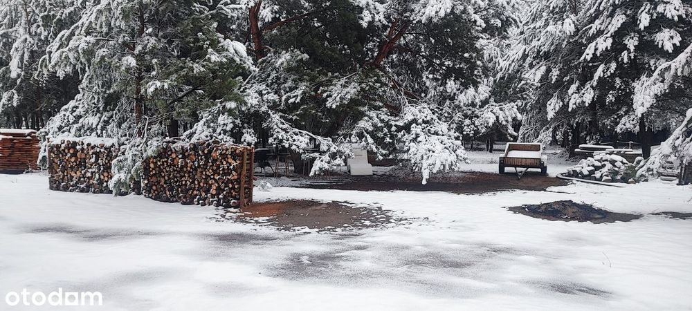 Leśne działki przy Poleskim Parku, cisza, warunki zabudowy
