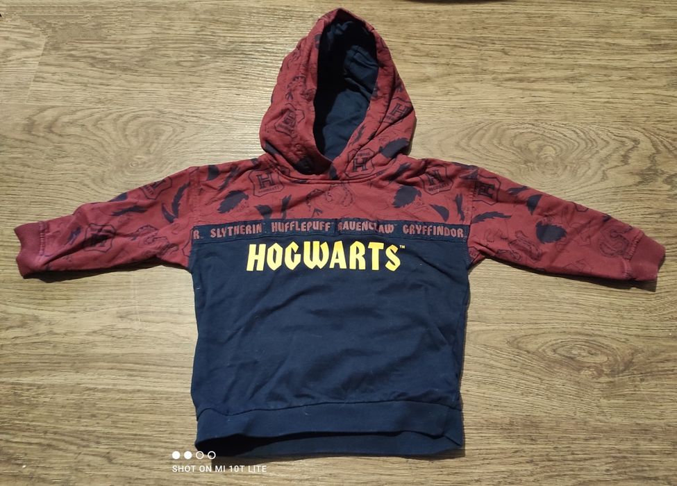 Bluza Harry Potter