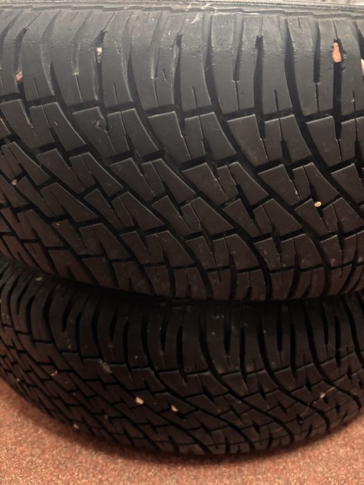 Opony wielosezonowe Dębica 185 65 R15