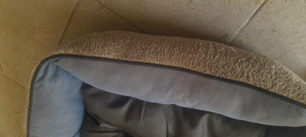 Cama de cao medio