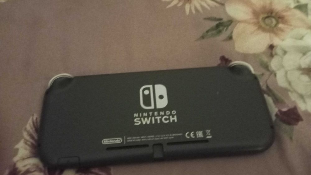 Nintendo switch lite