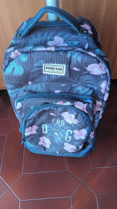 Troley escolar RPO DG