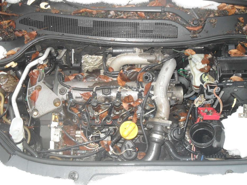 Silnik Renault Megane 2 1.9 DCI