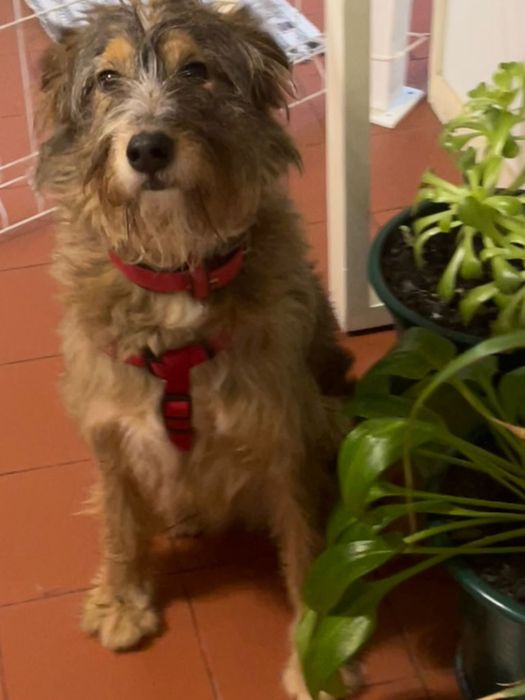 Doação responsável