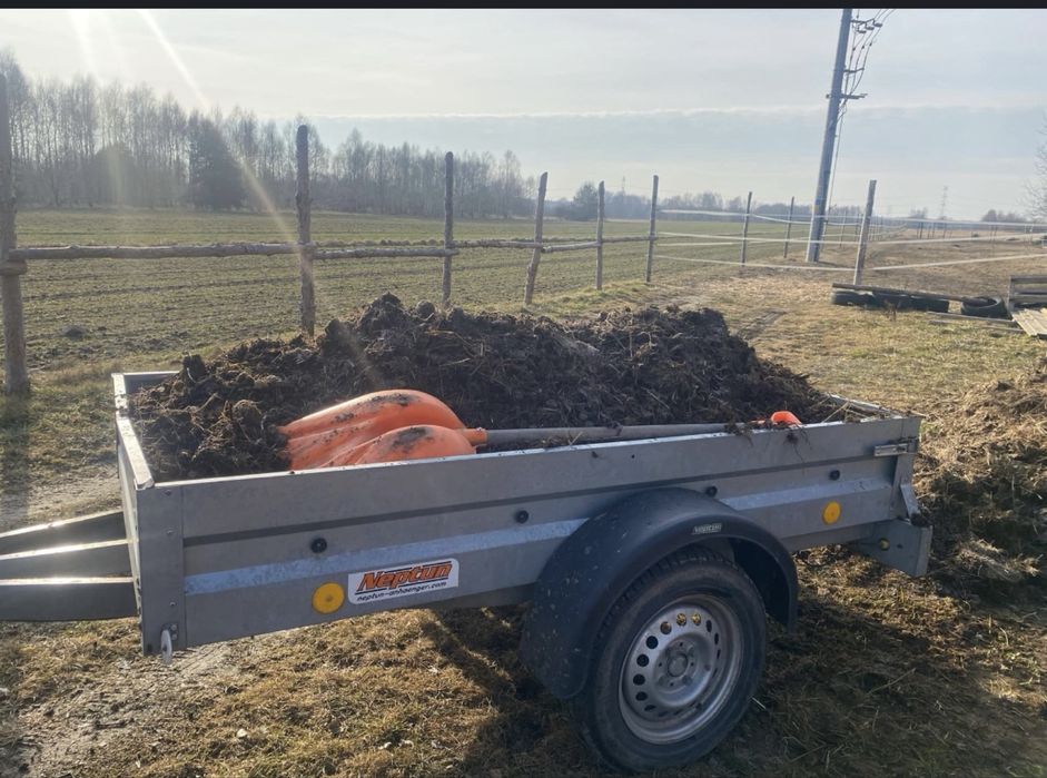 Obornik koński obornik koński