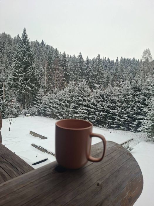 Здам будинок Микуличин Буковель Яремче