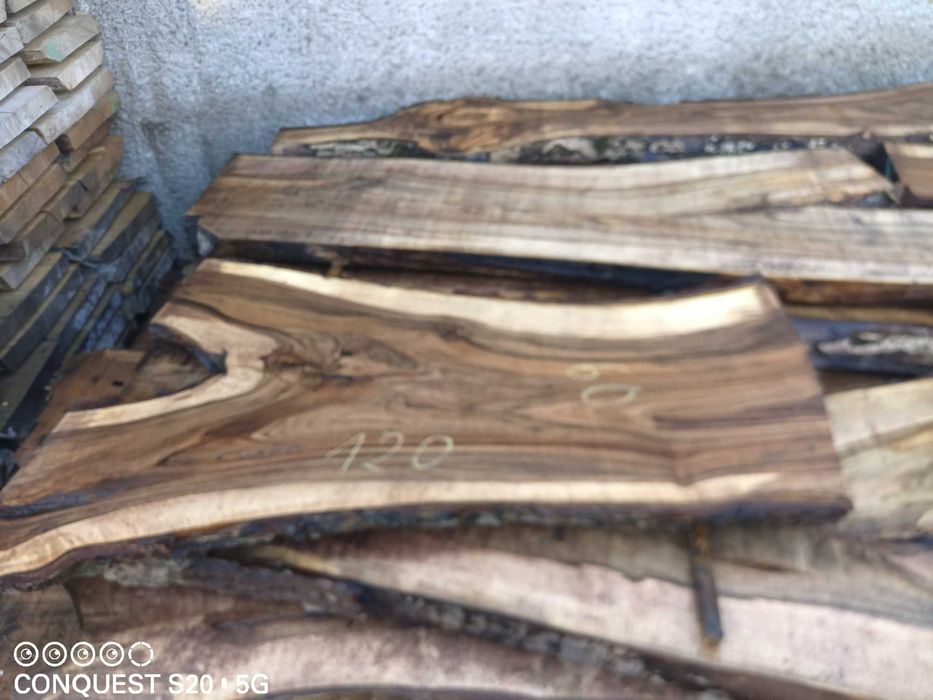 dąb jesion akacja kasztan orzech włoski  plastry krązki monolit blaty