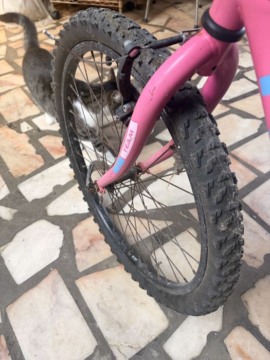 Bicicleta de criança