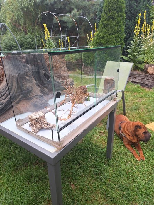 Terrarium 80x40x50 nowe