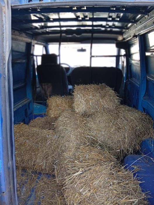 Рено Трафік-1   1989