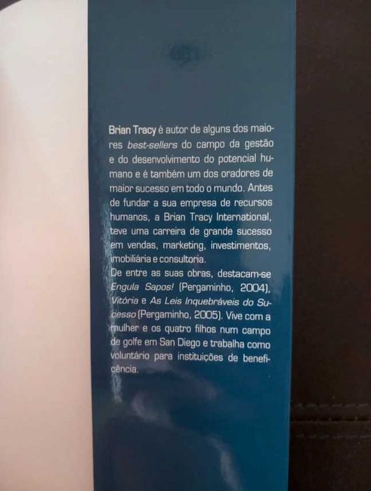Estratégia Turbo mais eficácia e mais lucros (Brian Tracy)