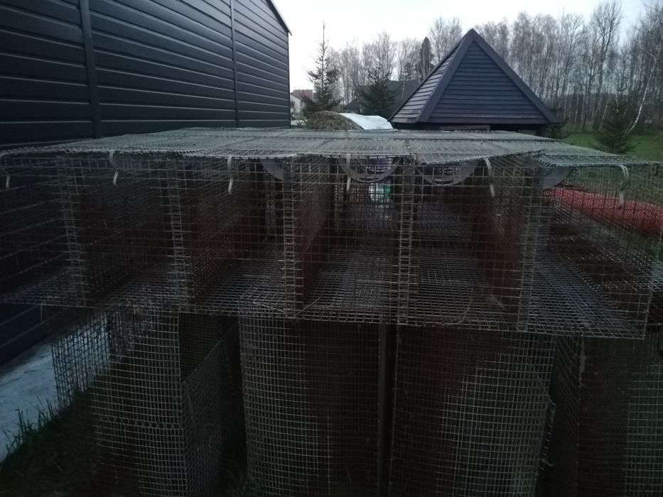 Klatki 6 i 20 komorowe na przepiorki i króliki