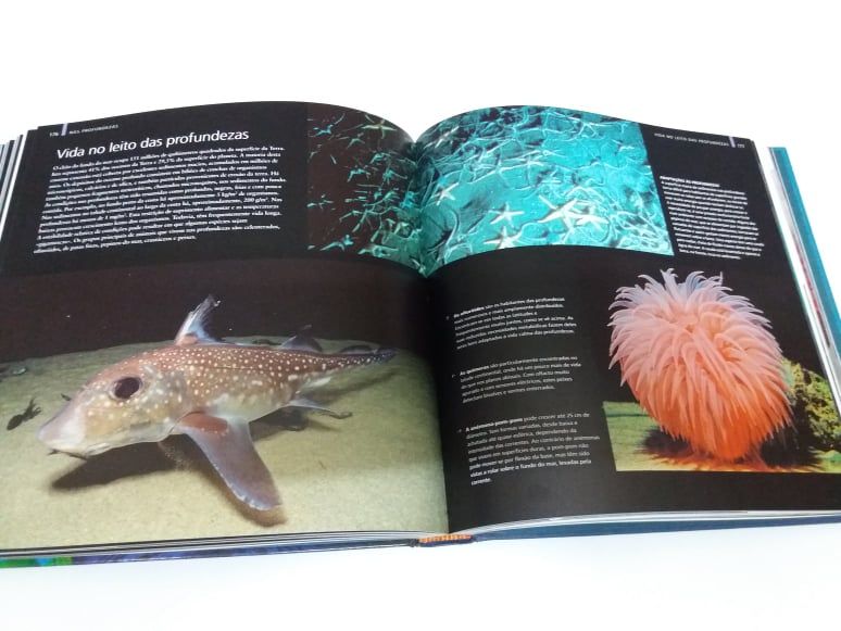 Oceanos - Enciclopédia Visual
