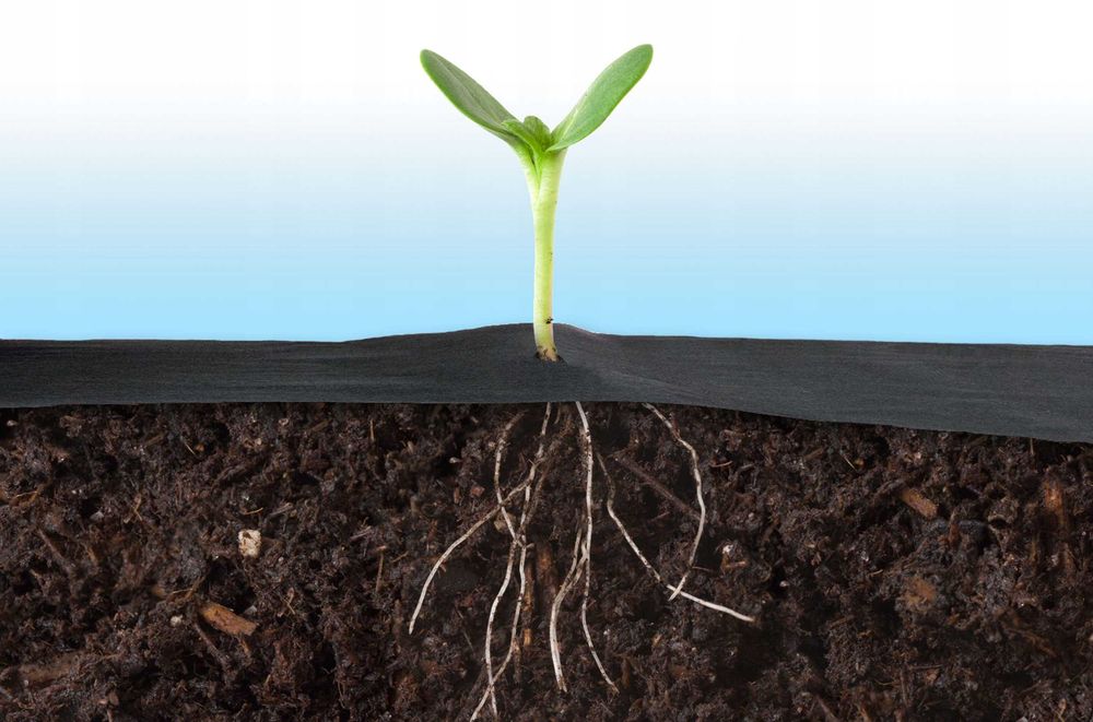 AGROWŁÓKNINA Ogrodowa 1,6m x 100m 90g/m2 + 100 szpilek  Czarno-Zielona