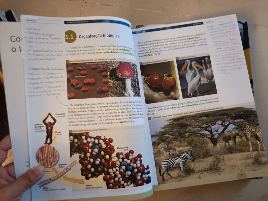 Manuais "Biologia e Geologia 10" e caderno de atividades