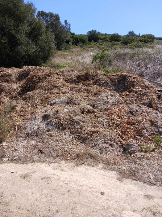 Estrume de Cavalo Curtido