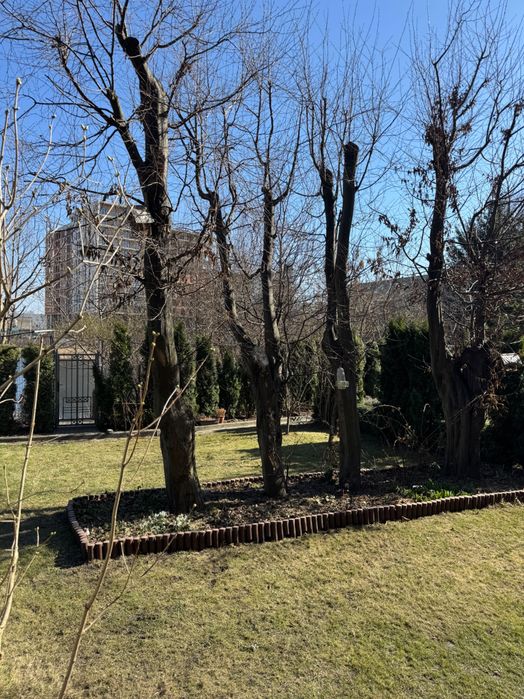 Продаж ексклюзивного будинку в м. Львів вул. Володимира Великого - View 4