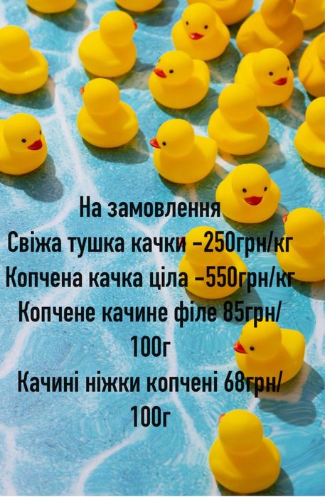 Копчена качка утка