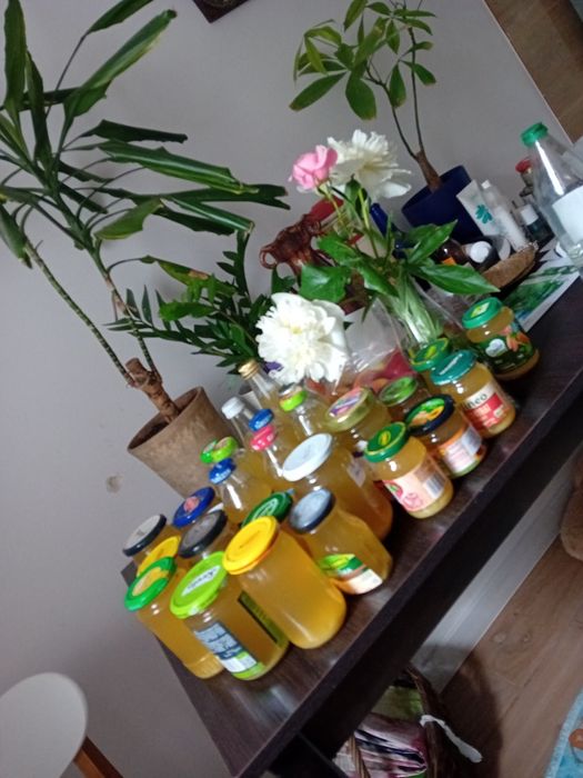 Syrop z kwiatu czarnego bzu