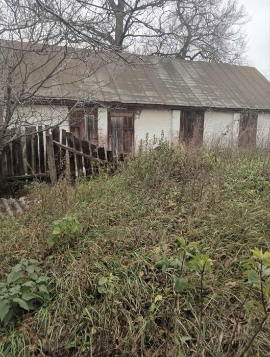 Продається будинок в селі Підлісне Чернігівського району