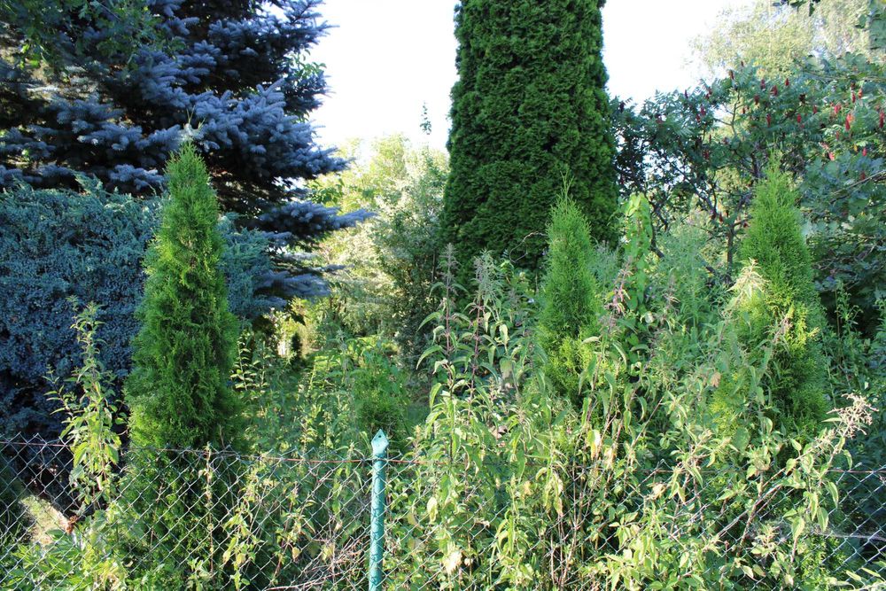 Działka na ROD 515m2