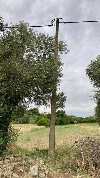 Terreno Rustico em São Brás Alportel