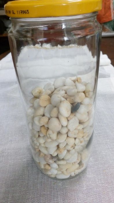 Pedras e conchas -Artesanato