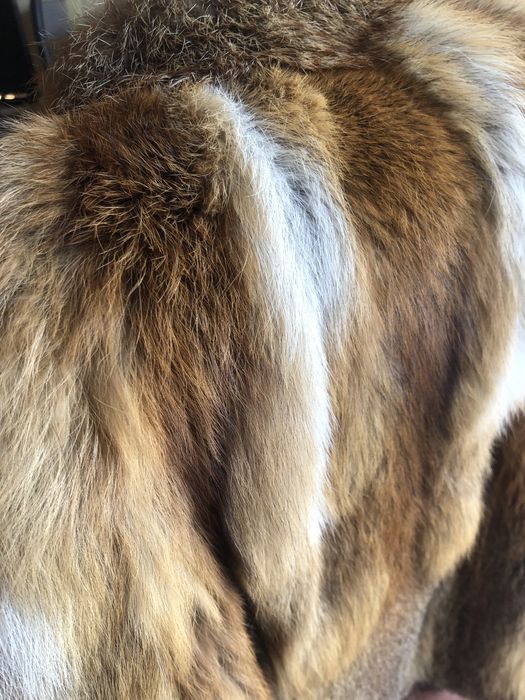 Casaco pele raposa da Jugoslávia