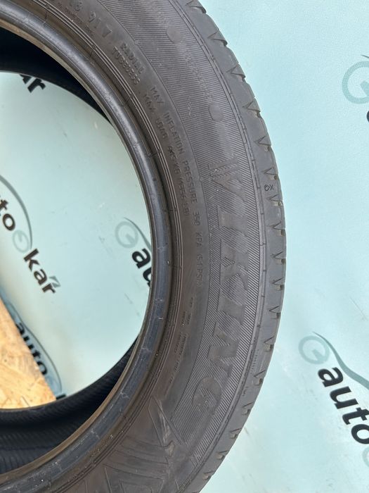 Шини 205/55/R16 Viking Pro Tech New Gen 22р Літо