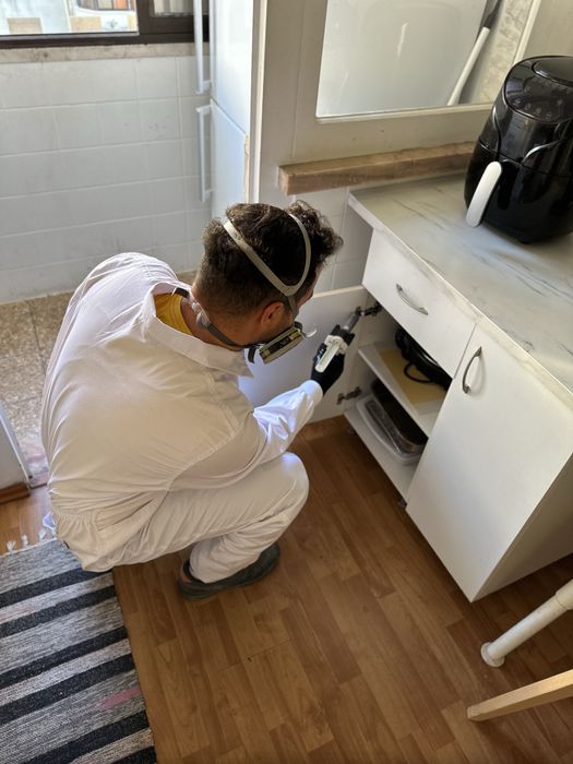 DESINFESTAÇÃO CONTROLO D EPRAGAS PERCEVEJOS BARATAS PULGAS TÉRMITAS