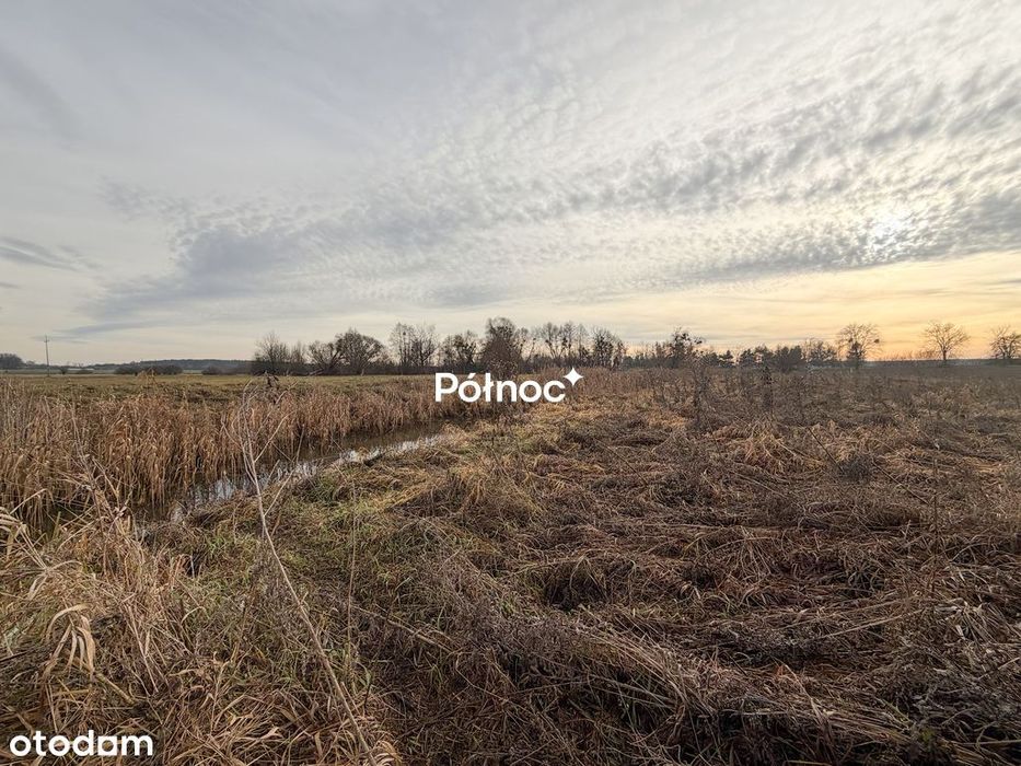 Działka rolna 0,84 ha Turka, gmina Dorohusk