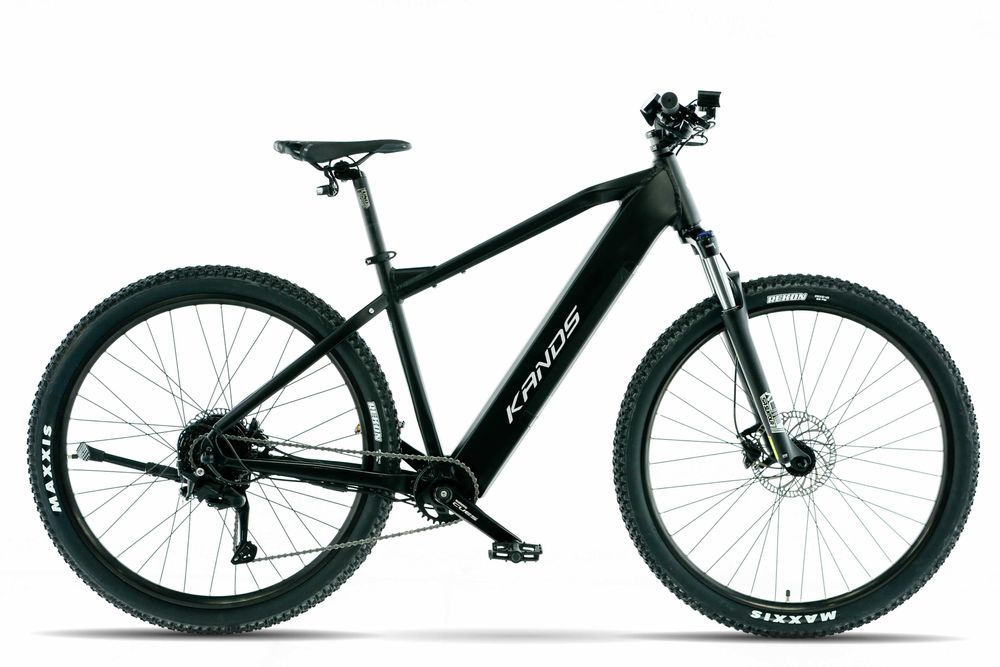 ROWER Kands 29 Holk E-BIKE MTB am CUES 3020 1X9 SPEED 250W 36V