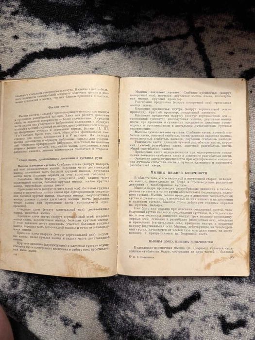 П. В. Колесников — Анатомия человека, 1961