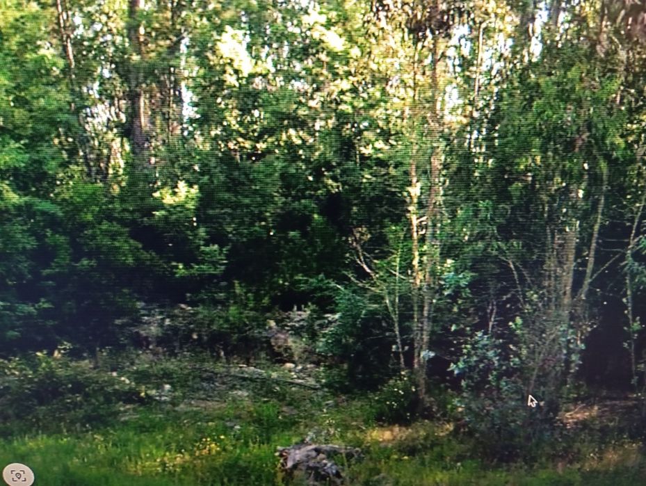Permuta de Terreno urbanizavel em aldeia tranquila