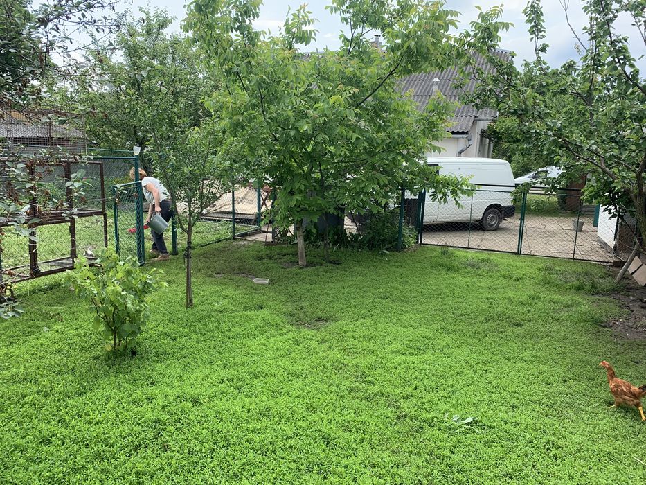 Житловий будинок