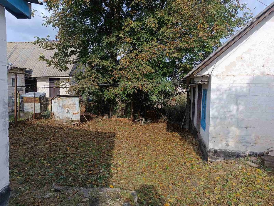 Продається будинок в смт Володарка
