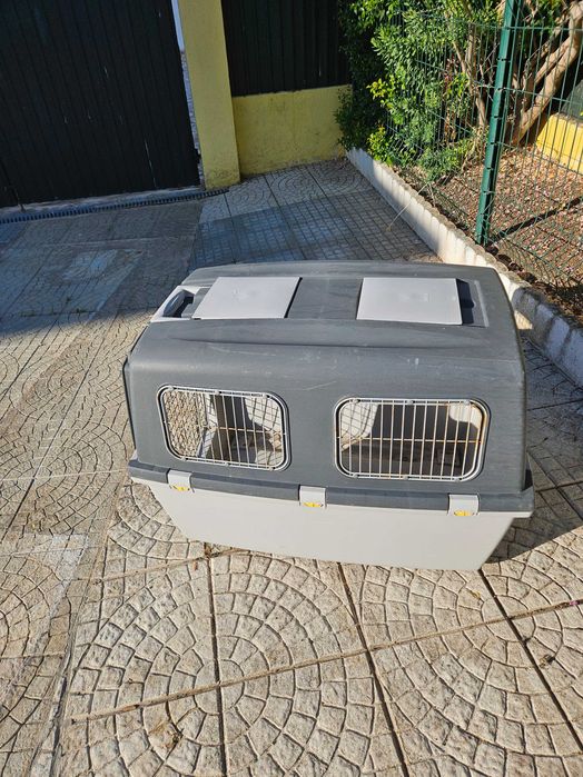 Transportadoras de cães